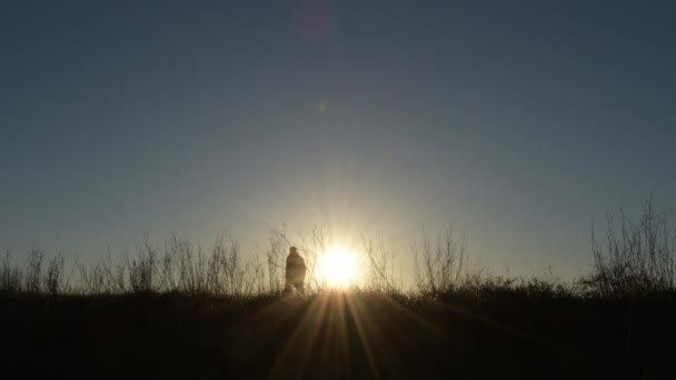 Hombre Perro Caminando Por Campo Atardecer — Vídeo de stock