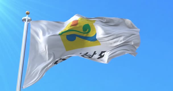 Bandera South Jeolla Provincia Corea Del Sur Bucle — Vídeos de Stock