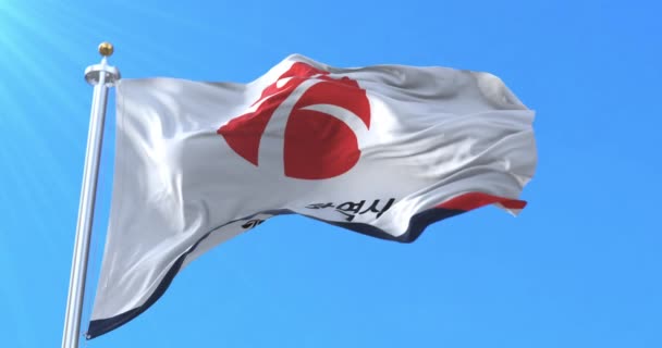 Flaga Gwangju Prowincja Miasto Korea Południowa Pętla — Wideo stockowe