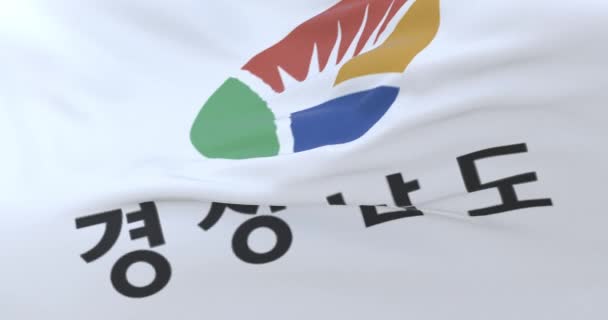 South Gyeongsang Flag Province South Korea Loop — 图库视频影像