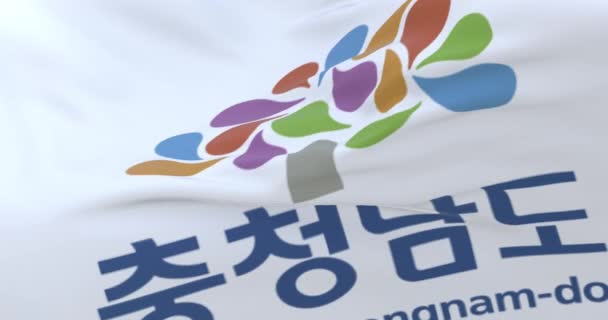 Bandera Chungcheong Del Sur Provincia Corea Del Sur Bucle — Vídeos de Stock