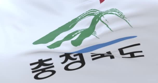 Σημαία Βόρειας Chungcheong Επαρχία Της Νότιας Κορέας Loop — Αρχείο Βίντεο