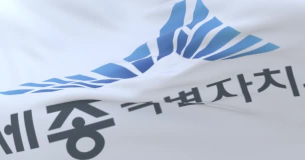Прапор Седжон Місто Південна Корея Loop — стокове відео