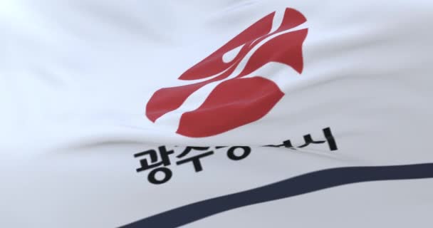 Gwangju Flagga Provins Och Stad Sydkorea Loop — Stockvideo