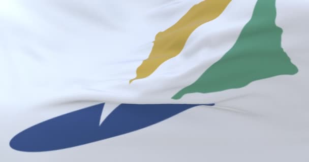 Bandeira Gangwon Província Coreia Sul Loop — Vídeo de Stock