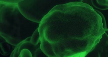 İnsan dokusunda hareket eden hücre, mikroskobik görünüm