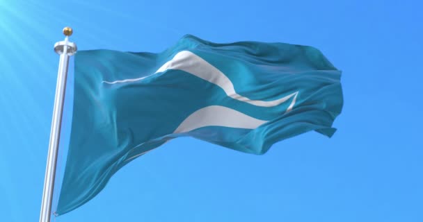 Bandera Ciudad Neuquén Argentina Bucle — Vídeo de stock