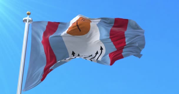 Bandeira Cidade Corrientes Argentina Laço — Vídeo de Stock