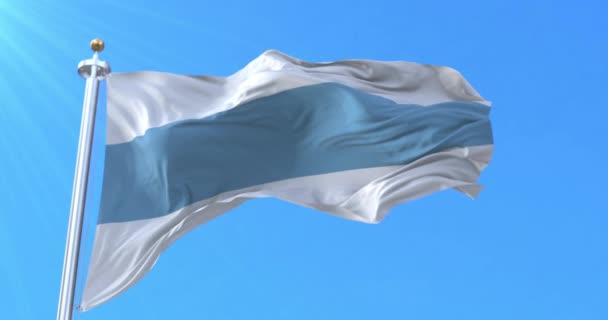 Tucuman Province Flag Argentina Loop — Stock Video