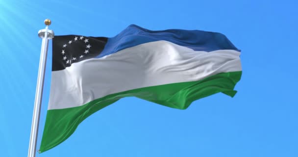 阿根廷 里约热内卢省国旗 — 图库视频影像