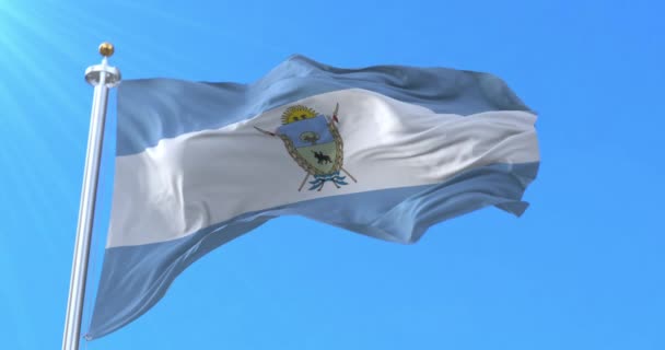 Σημαία Επαρχίας Pampa Αργεντινή Βρόχος — Αρχείο Βίντεο