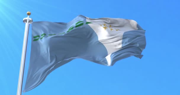 Formosa Eyaleti Bayrağı Arjantin Döngü — Stok video