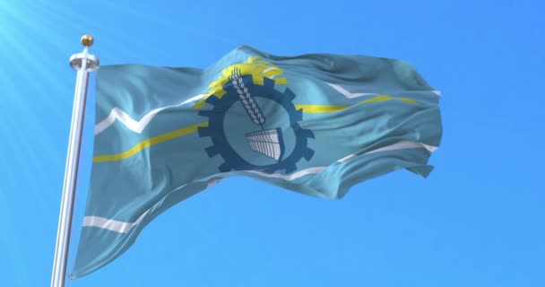 Chubut Province Flag Argentina Ögla — Stockvideo