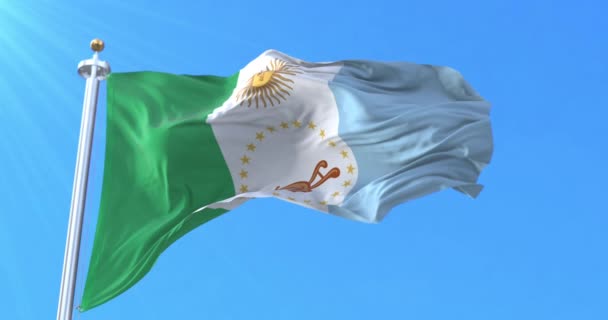 Flagge Der Provinz Chaco Argentinien Schleife — Stockvideo