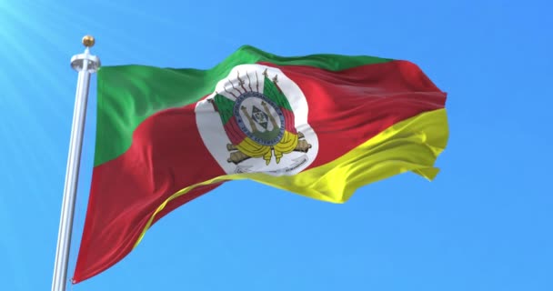 グランデ スル州旗 ブラジル ループ — ストック動画