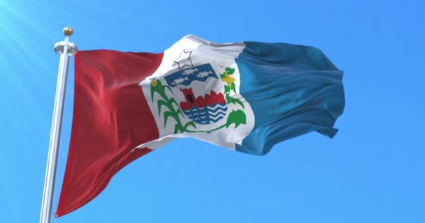 Flaga Stanu Alagoas Brazylia Pętla — Wideo stockowe