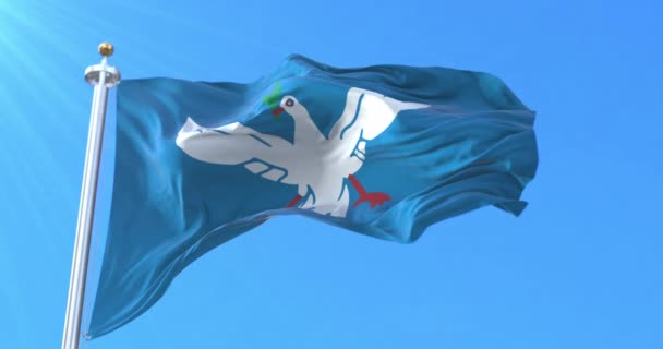 Bandeira Salvador Bahia Brasil Laço — Vídeo de Stock
