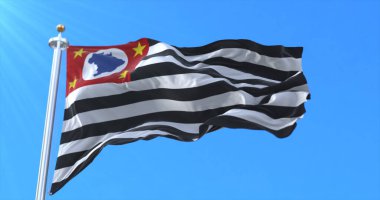 Sao Paulo eyalet bayrağı, Brezilya