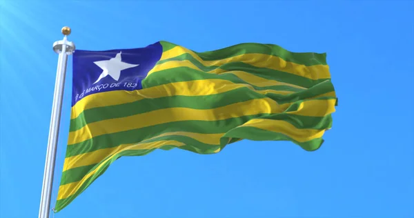 Piaui State Flagga Brasilien — Stockfoto