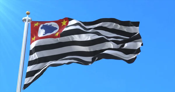 Sao Paulo eyalet bayrağı, Brezilya