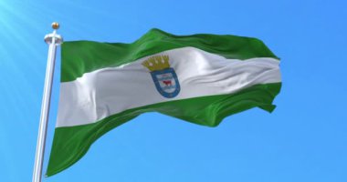 Los Angeles Şehir Bayrağı, Şili. Döngü