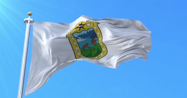 Aysen Region Flag Chili Lijn — Stockvideo