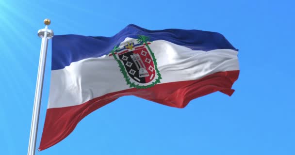 Araucania Region Flag Chile Smyčka — Stock video