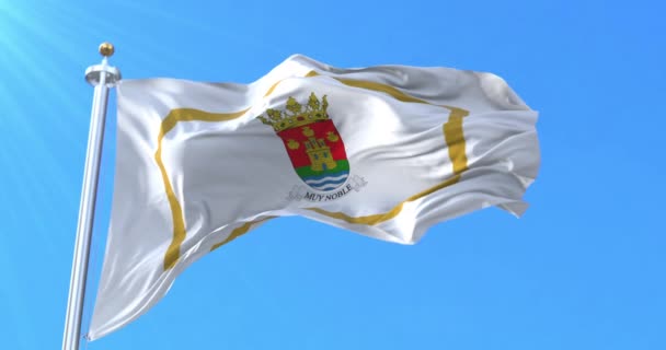 Bandera Santiago Del Estero Argentina Bucle — Vídeos de Stock