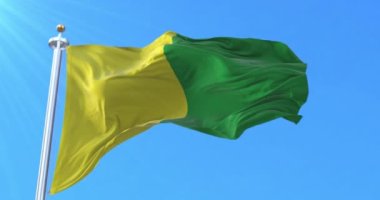 Caldas Departmanı Bayrağı, Kolombiya. Döngü