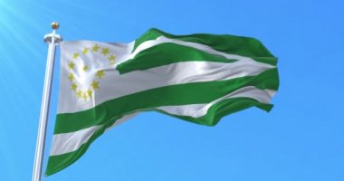 Caqueta Departmanı Bayrağı, Kolombiya. Döngü