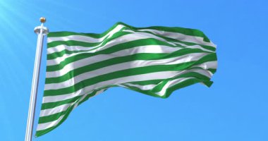 Meta Departmanı Bayrağı, Kolombiya. Döngü