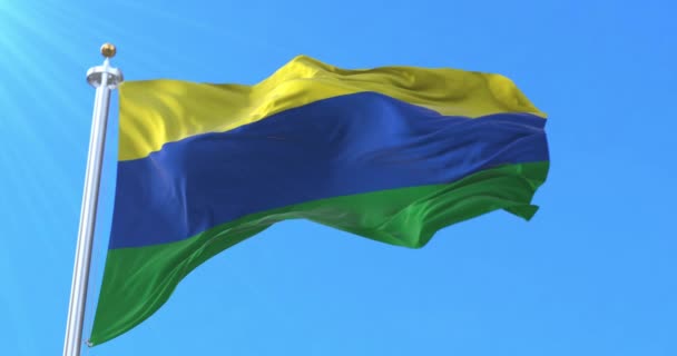 Guainia Department Flag Colombia Lijn — Stockvideo