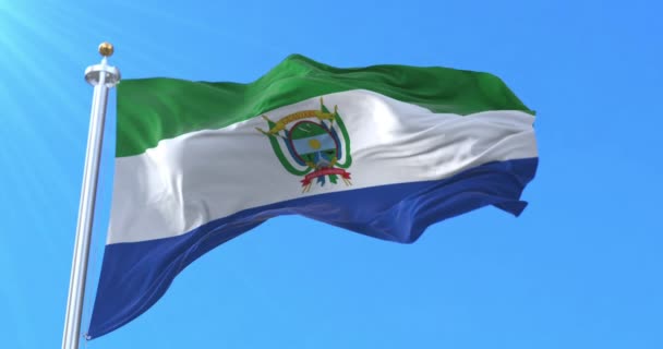 Guaviare Department Flag Colombia Lijn — Stockvideo