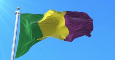 Quindio Departmanı Bayrağı, Kolombiya. Döngü