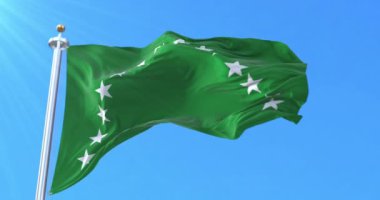 Risaralda Departmanı Bayrağı, Kolombiya. Döngü