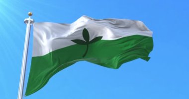 Vaupes Departmanı Bayrağı, Kolombiya. Döngü