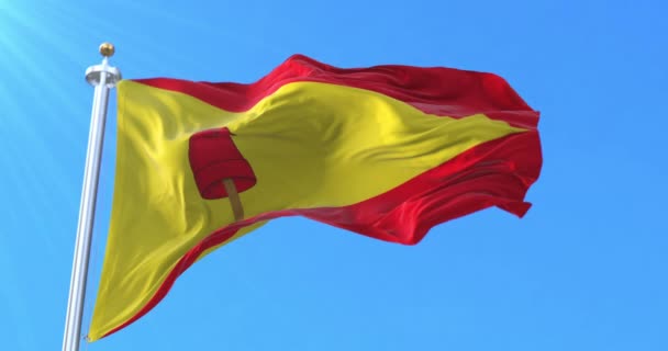 Флаг Столицы Перейры Рисаральда Колумбия Петля — стоковое видео