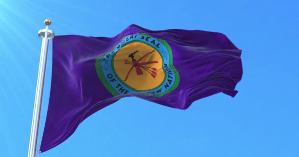 Choctaw Nation Oklahoma Flag Ögla — Stockvideo