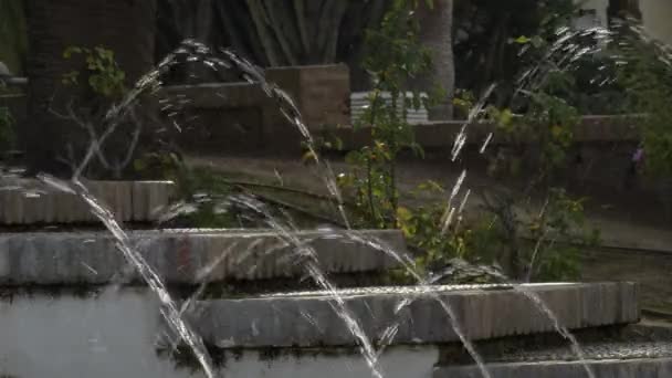 Manantiales Agua Corriendo Una Fuente Jardín — Vídeo de stock