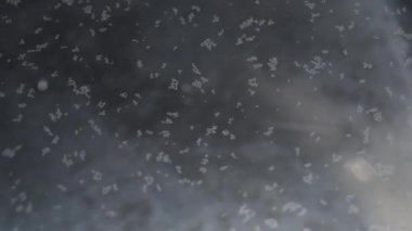 Hareket eden parçacıklar ve kaynar suda duman.