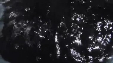 Tencerede kaynamış siyah balsam.