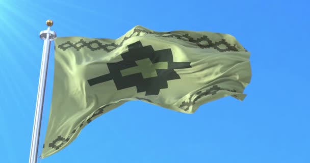 Флаг Вичи Аргентина Петля — стоковое видео