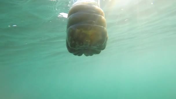 Plastikflasche Mit Schmutz Schwimmenden Unterwasser Bei Sonnenuntergang Zeitlupe — Stockvideo