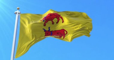 Bearn Flag el sallıyor. Döngü