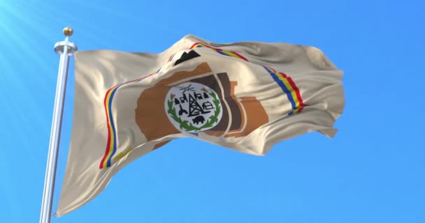 Navajo Nation Flag Lijn — Stockvideo