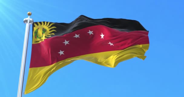 Flagge Des Bundesstaates Miranda Venezuela Schleife — Stockvideo