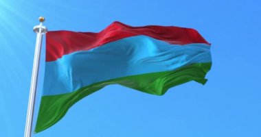 Karelia Cumhuriyeti bayrağı, Rusya. Döngü