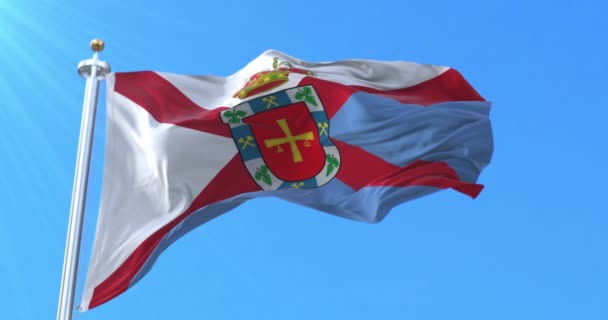 ビエルツォの旗 レオン スペイン ループ — ストック動画
