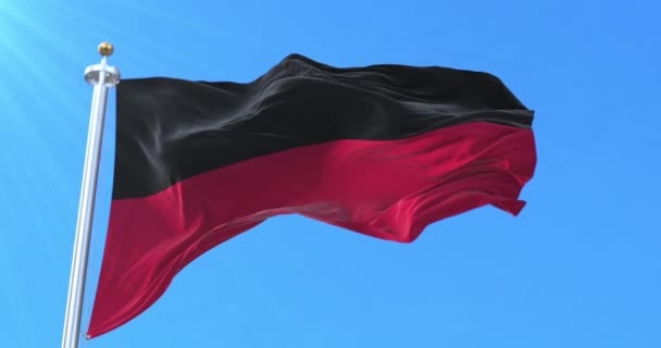 Nijmegen Flag Gelderland Países Bajos Bucle — Vídeos de Stock