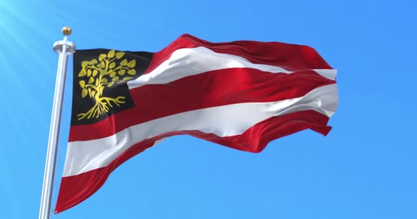 Hertogenbosch Flag North Brabant Ολλανδία Βρόχος — Αρχείο Βίντεο